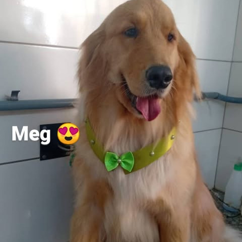 Meg