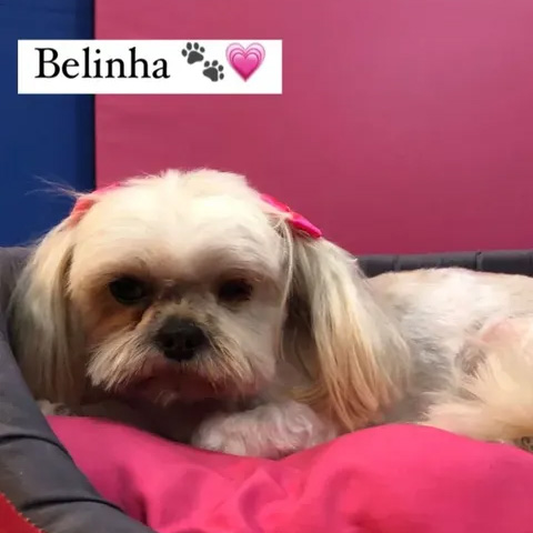 Belinha