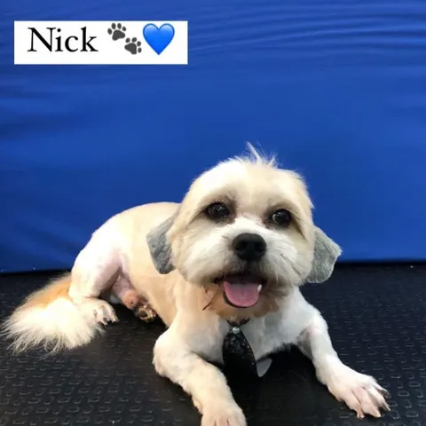 Nick